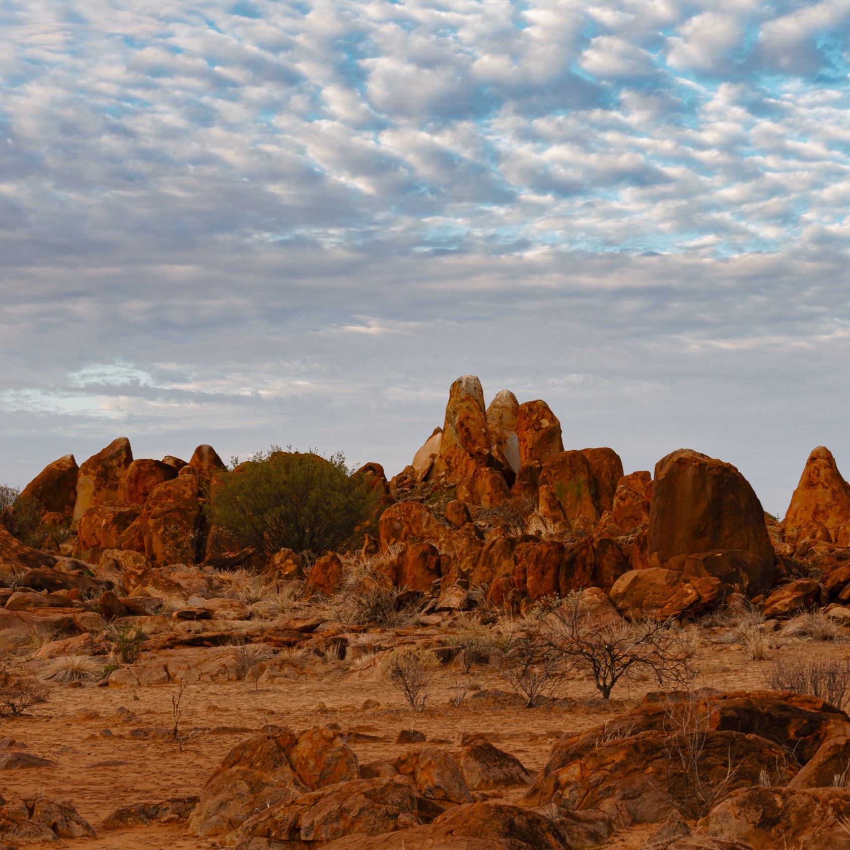 Tanami Alice Springs